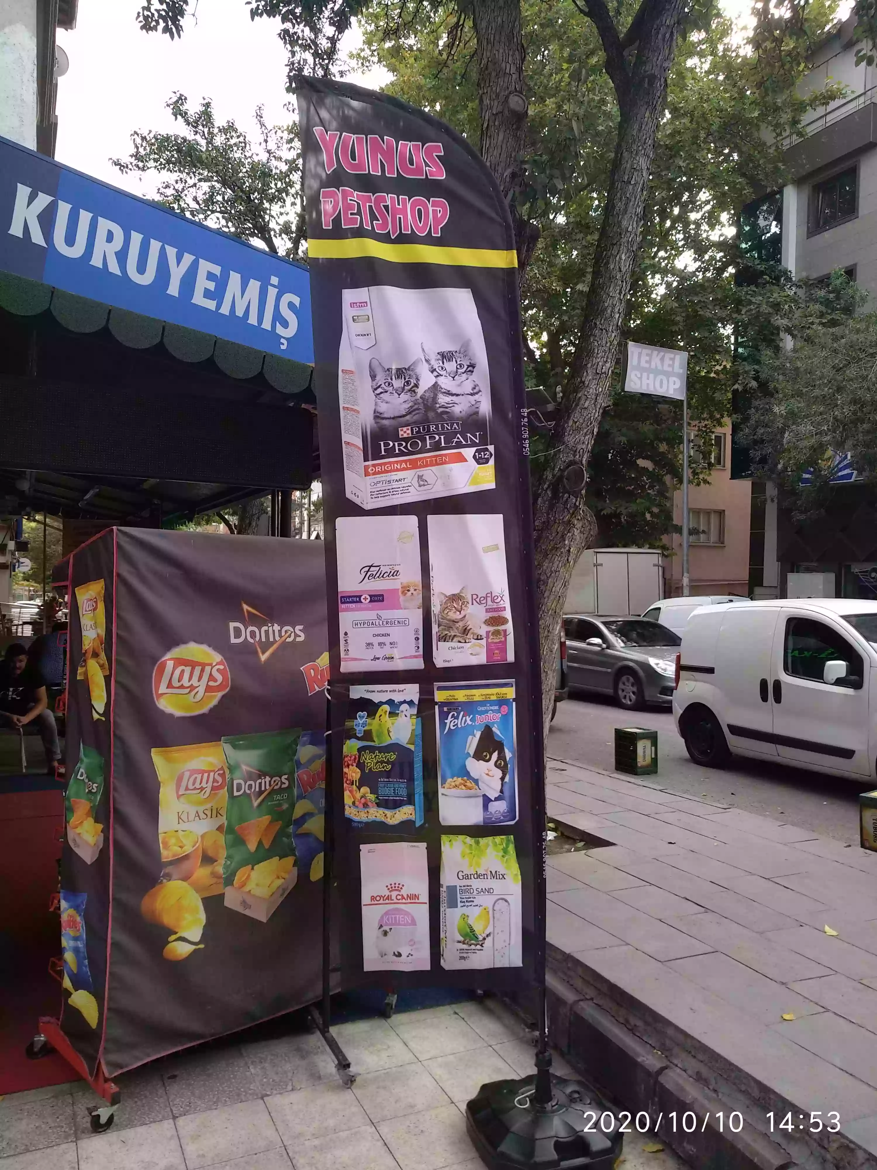 Petshop Yelken Bayrağı-19