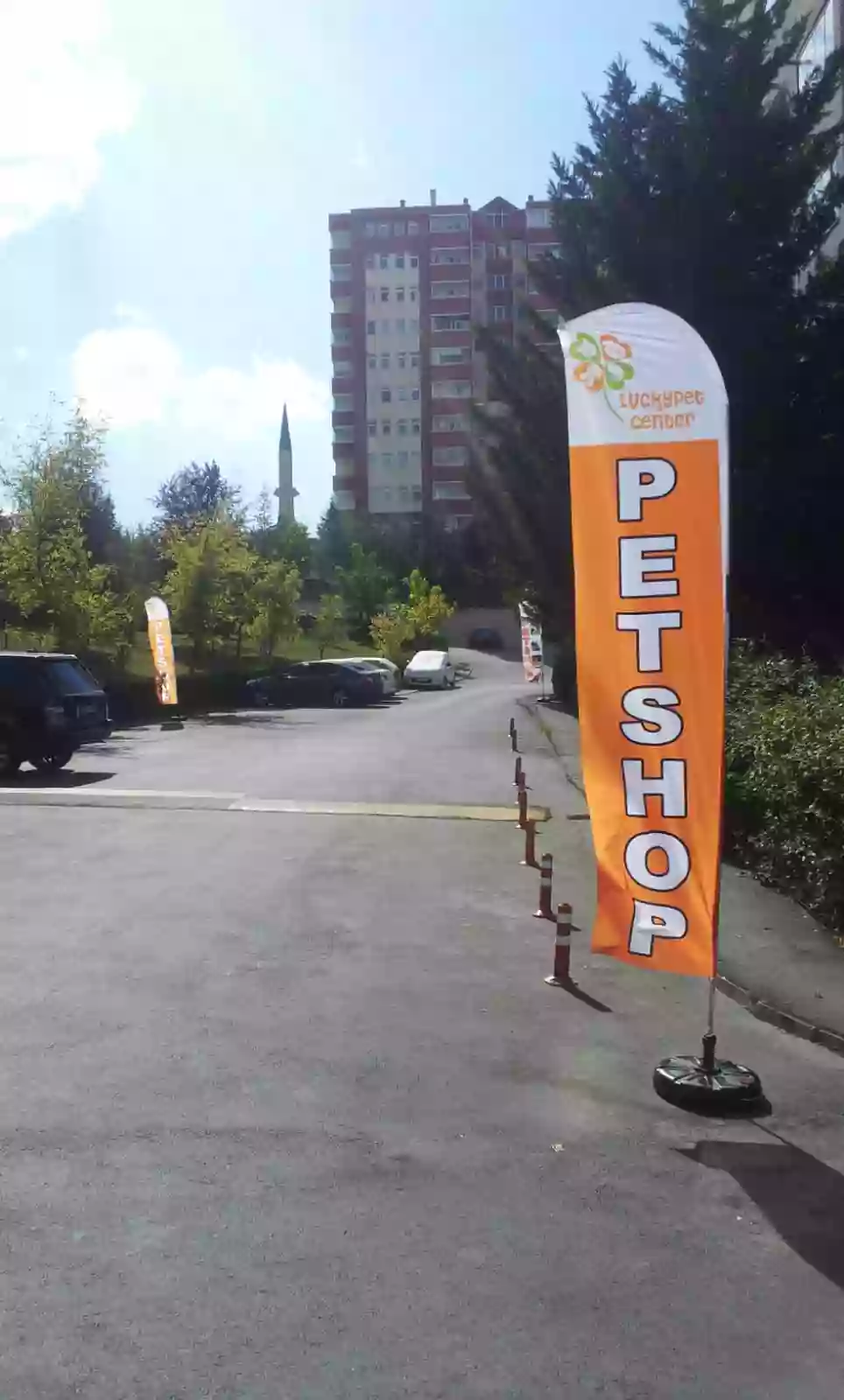 Petshop Yelken Bayrağı-3