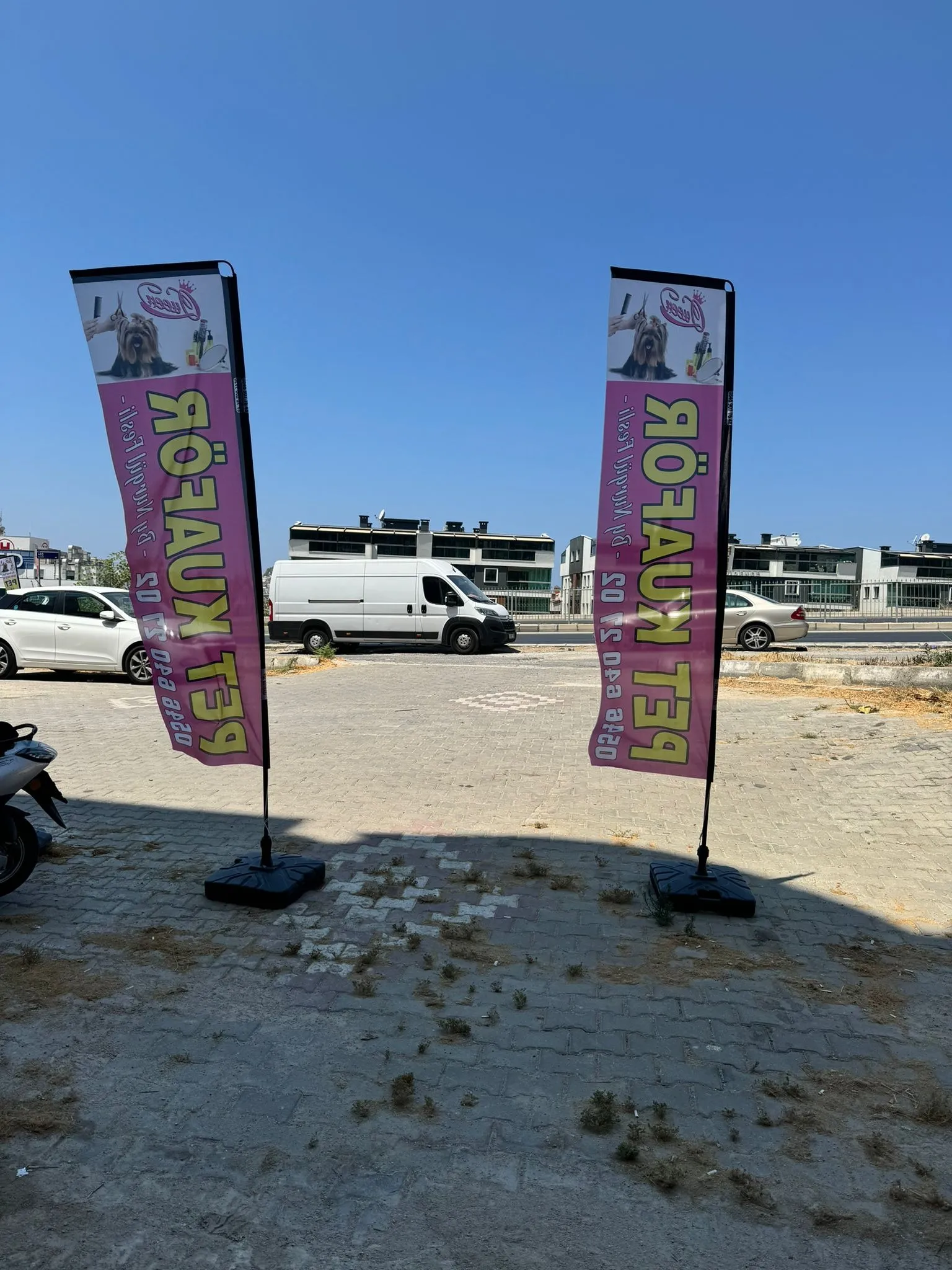 Pet Shop Yelken Bayrağı-37